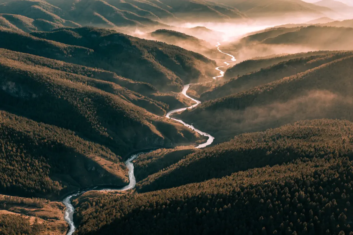 Several streams converging into one river in the hills