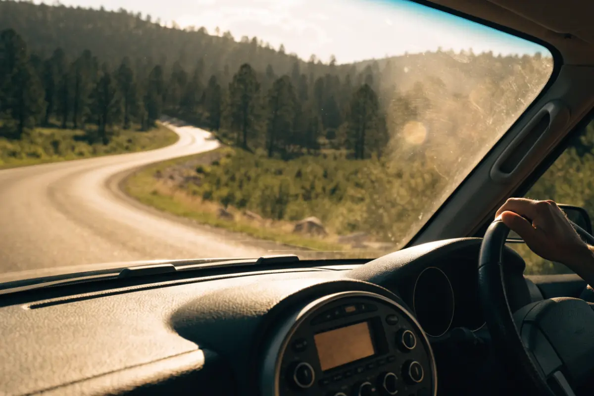 Driving a winding pine-hill road at golden hour, the truck radio glowing on the dash